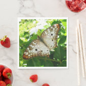 Butterfly on Jasmine Tropical Natuur Photography Servet (Insitu)