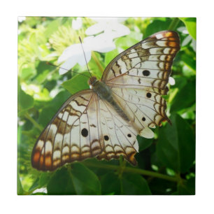 Butterfly on Jasmine Tropical Natuur Photography Tegeltje