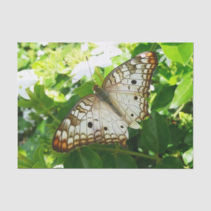 Butterfly on Jasmine Tropical Natuur Photography Tissuepapier