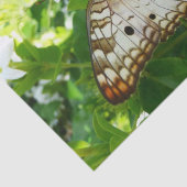 Butterfly on Jasmine Tropical Natuur Photography Tissuepapier (Detail)