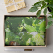 Butterfly on Jasmine Tropical Natuur Photography Tissuepapier (Geschenk)