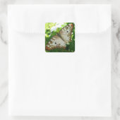 Butterfly on Jasmine Tropical Natuur Photography Vierkante Sticker (Tas)