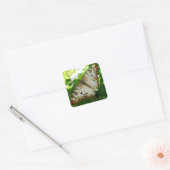 Butterfly on Jasmine Tropical Natuur Photography Vierkante Sticker (Envelop)
