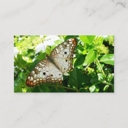 Butterfly on Jasmine Tropical Natuur Photography Visitekaartje (Achterkant)