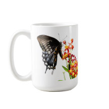 Butterfly on Milkweed Blooms, on White