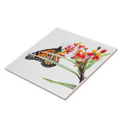 Butterfly on Milkweed Blooms, on White Tegeltje (Zijkant)