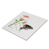 Butterfly on Milkweed Blooms, on White Tegeltje (Zijkant)