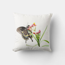 Butterfly on Milkweed Blooms, White