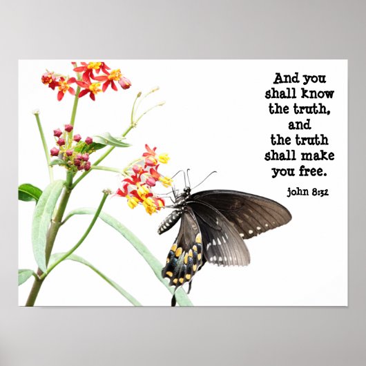 Butterfly on Milkweed, met Verse (John 8:32) Poster (Voorkant)