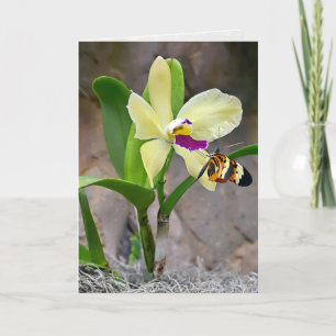 Butterfly on Orchid Blossom Kaart