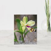 Butterfly on Orchid Blossom Notecard Kaart (Voorkant)