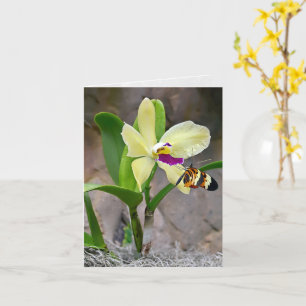 Butterfly on Orchid Blossom Notecard Kaart