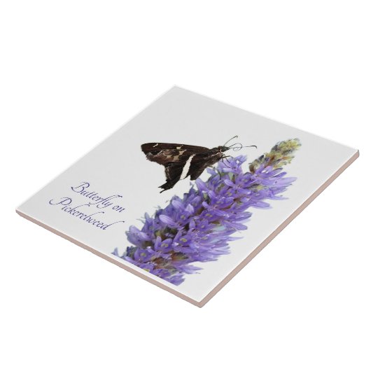 Butterfly on Pickerelweed, wit Tegeltje (Zijkant)