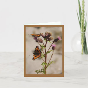 Butterfly on Plant Note Card Kaart