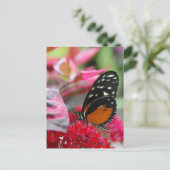 Butterfly on Red Flowers Photo Briefkaart (Staand voorkant)