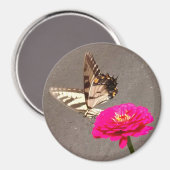 Butterfly on Red Zinnia met Pavement Background Magneet (Voorkant / Achterkant)