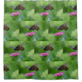 Butterfly on roze Zinnia Douchegordijn (Voorkant)
