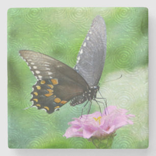 Butterfly on roze Zinnia Stenen Onderzetter