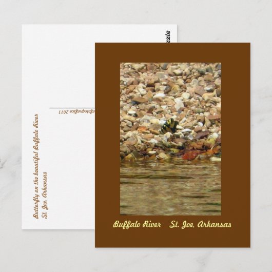 Butterfly on the Buffalo Briefkaart (Voorkant / Achterkant)