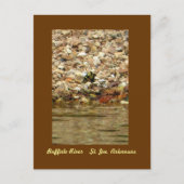 Butterfly on the Buffalo Briefkaart (Voorkant)