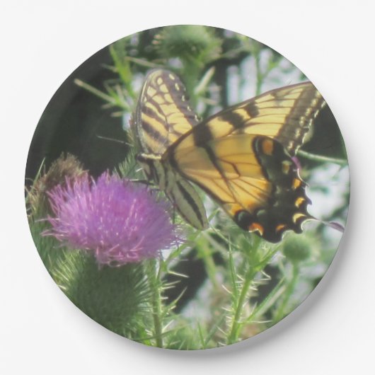 Butterfly on Thistle Paper Bord (Voorkant)