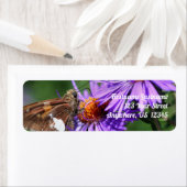 Butterfly on Wild Paars Aster Flower Address Etiket (Insitu)