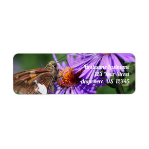 Butterfly on Wild Paars Aster Flower Address Etiket