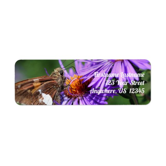 Butterfly on Wild Paars Aster Flower Address Etiket (Voorkant)