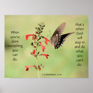 Butterfly on Wildfllowers, Scriptversie Verse Poster