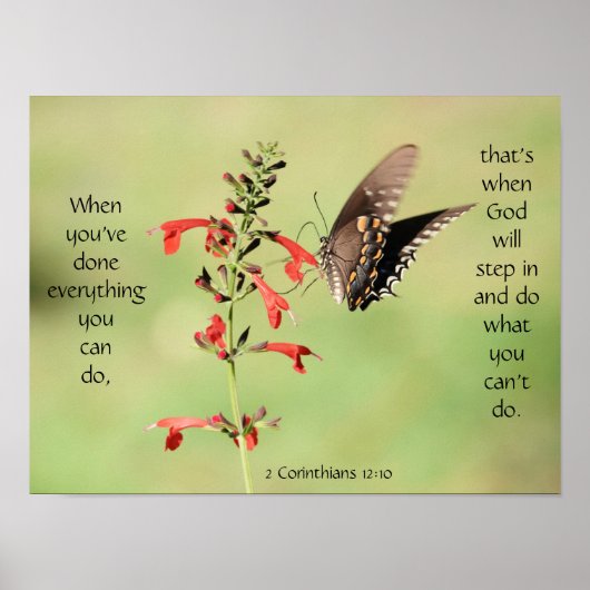 Butterfly on Wildfllowers, Scriptversie Verse Poster (Voorkant)