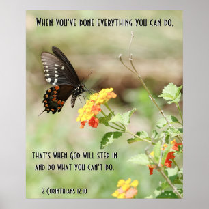 Butterfly on Wildfllowers, w Corinthians Verse Poster