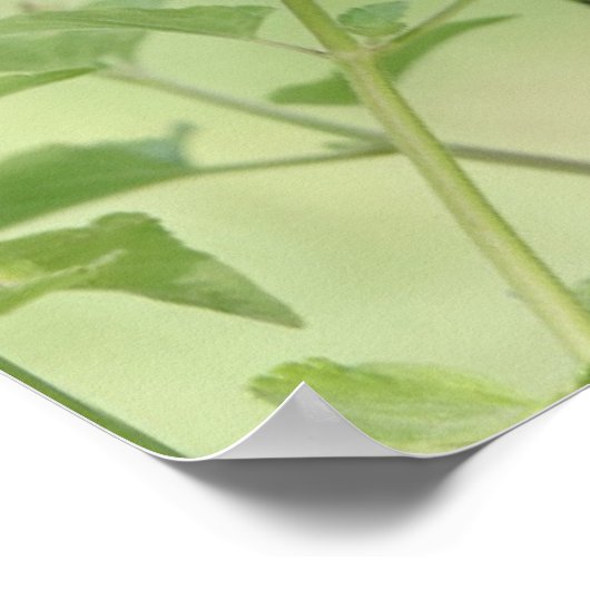 Butterfly on Wildflower, Scriptversie op geloof Poster (Hoek)