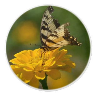 Butterfly on Zinnia Ceramic Knob Keramische Knop