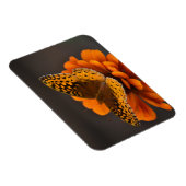 Butterfly on Zinnia Magnet Magneet (Rechterzijde)