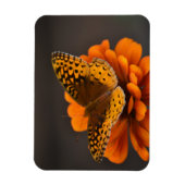 Butterfly on Zinnia Magnet Magneet (Verticaal)