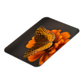 Butterfly on Zinnia Magnet Magneet (Linkerzijde)