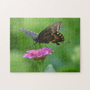 Butterfly on Zinnia Puzzle Legpuzzel