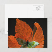 Butterfly op blad 2 briefkaart (Voorkant / Achterkant)