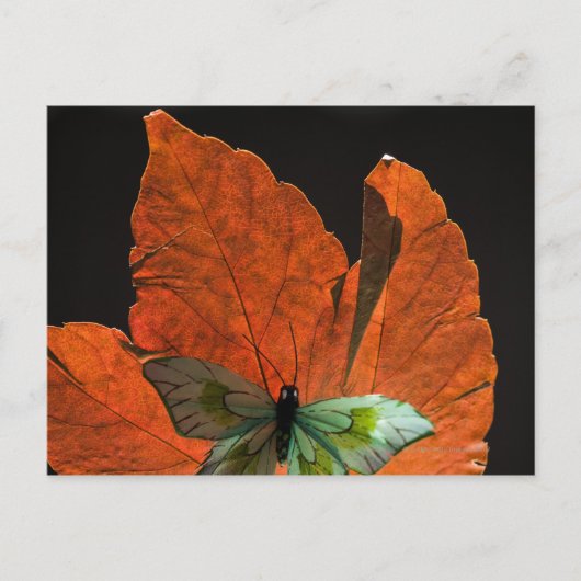 Butterfly op blad 2 briefkaart (Voorkant)