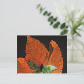 Butterfly op blad 2 briefkaart (Staand voorkant)