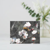 Butterfly op een amandelbloem briefkaart (Staand voorkant)