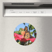 Butterfly op Hibiscus Magneet (Insitu (Vaatwasser))