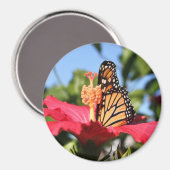 Butterfly op Hibiscus Magneet (Voorkant / Achterkant)
