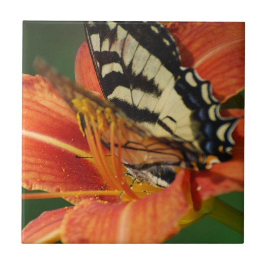 Butterfly op Lily Tegeltje (Voorkant)