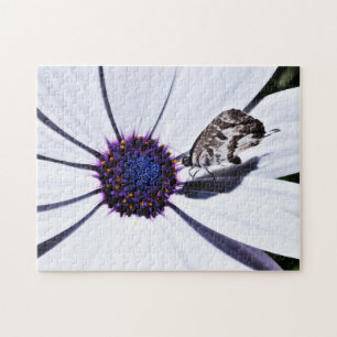Butterfly op White Daisy   Uitdaging Legpuzzel