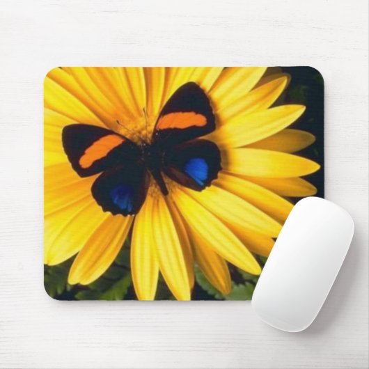 Butterfly op Yellow Daisy Muismat (Met muis)