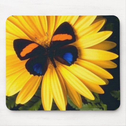 Butterfly op Yellow Daisy Muismat (Voorkant)