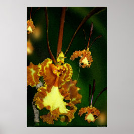 Butterfly Orchid Art Poster -24x36 -andere maten