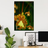 Butterfly Orchid Poster -24x36 -andere maten ook (Thuiskantoor)