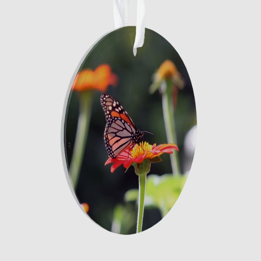 Butterfly Ornament (voorkant)